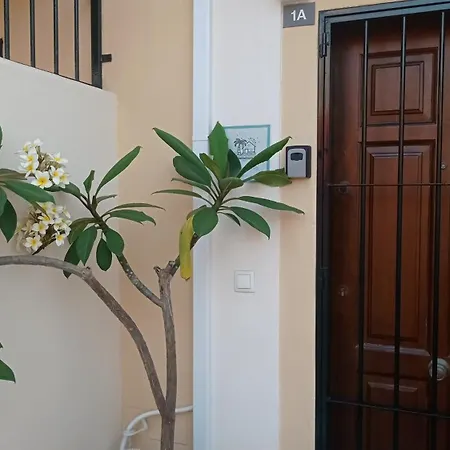 Ayd Διαμέρισμα Nerja