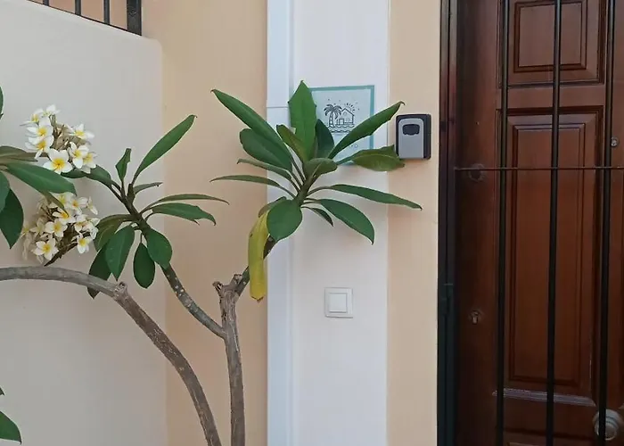 Ayd アパート ネルハ